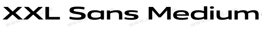 XXL Sans Medium字体转换